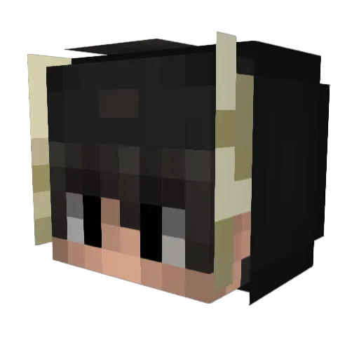 metzelwurst Minecraft avatar head, 3D render