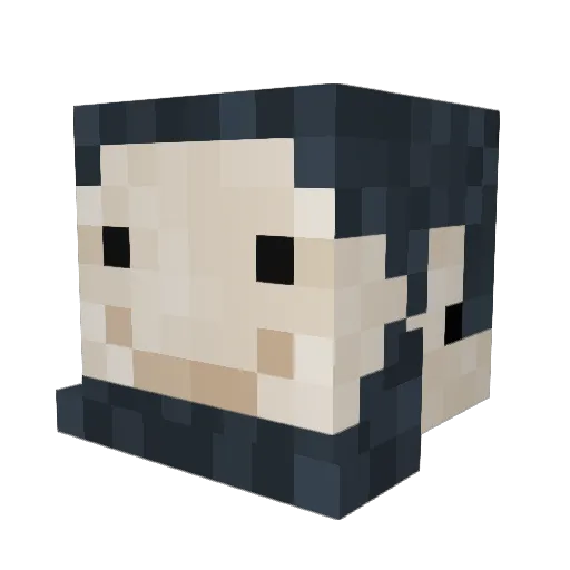 meuconsorcio Minecraft avatar head, 3D render