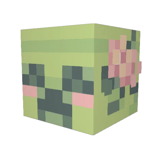 mewdoka Minecraft avatar head, 3D render