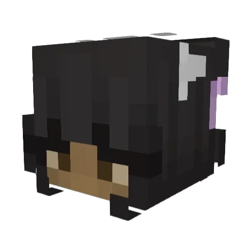 mewhenu Minecraft avatar head, 3D render