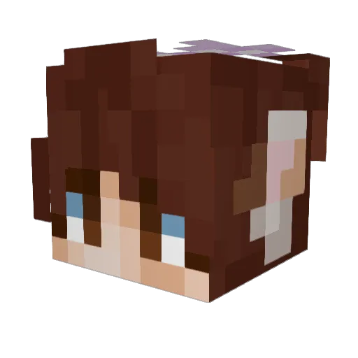 mewmaru Minecraft avatar head, 3D render