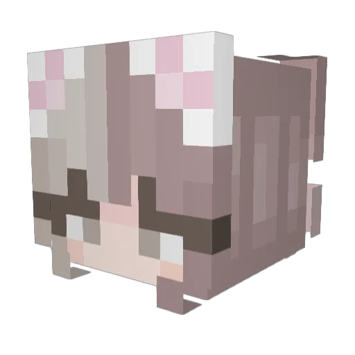 mewnbie_ Minecraft avatar head, 3D render