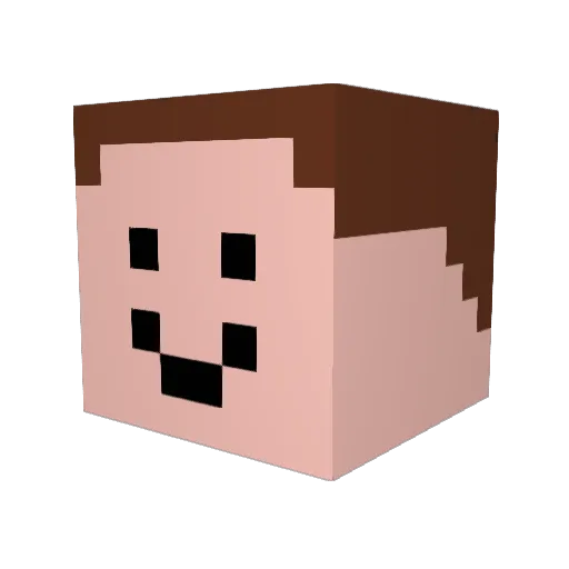 mewocoolguy Minecraft avatar head, 3D render