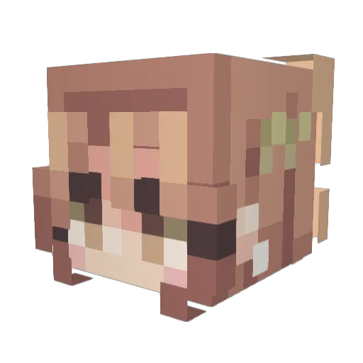 mewstrology Minecraft avatar head, 3D render