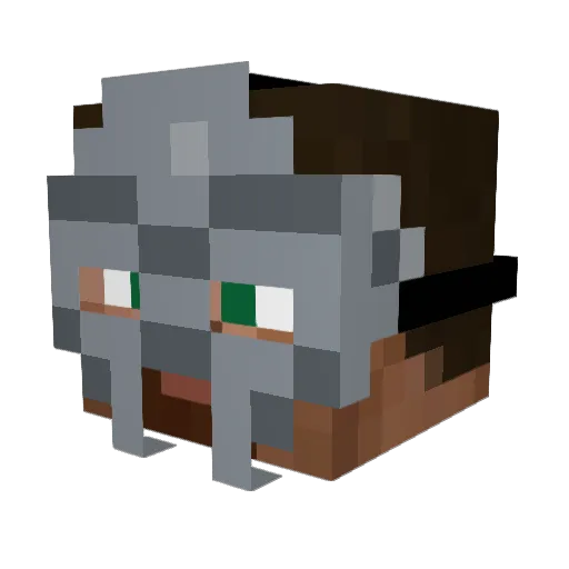 mewxoxo Minecraft avatar head, 3D render