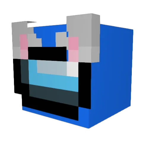 mexicanjumpborde Minecraft avatar head, 3D render