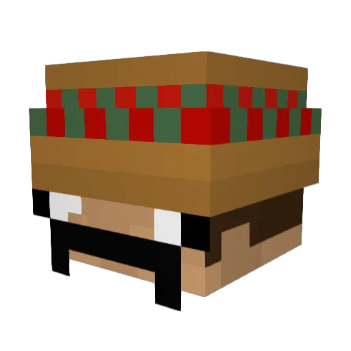 mexicanmamba319 Minecraft avatar head, 3D render