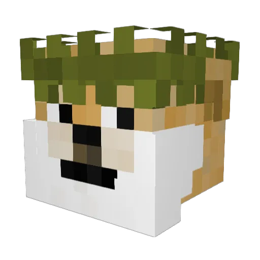 mexicanmaverick Minecraft avatar head, 3D render