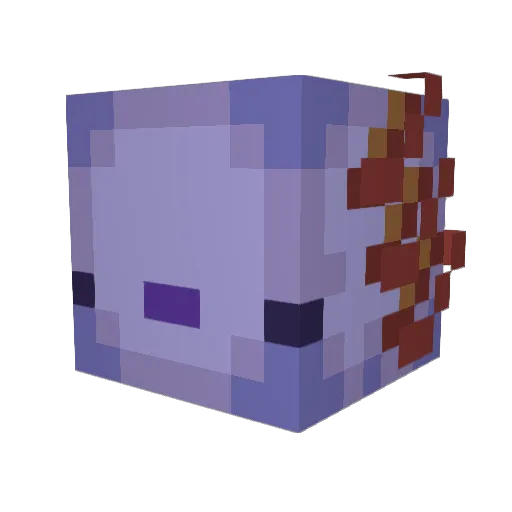 mexineco Minecraft avatar head, 3D render