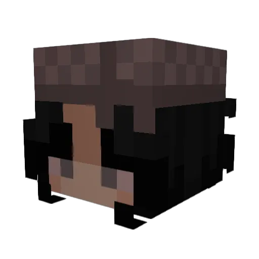 meyaaaaa Minecraft avatar head, 3D render