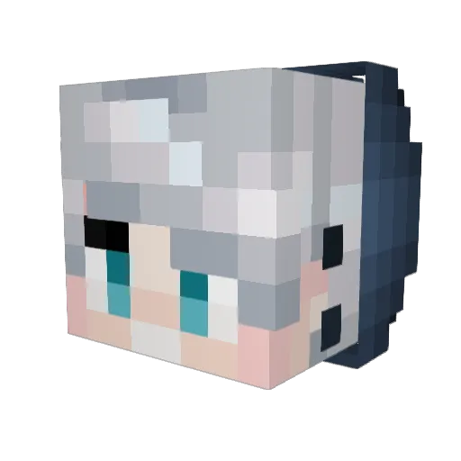 meyosalad Minecraft avatar head, 3D render