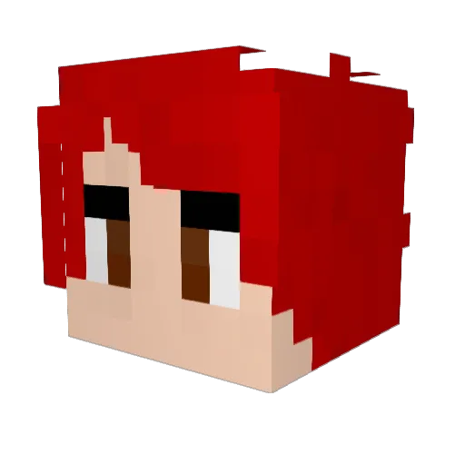 mf_platypus Minecraft avatar head, 3D render