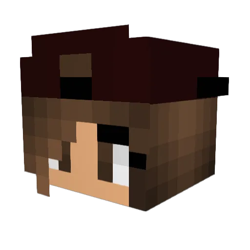 mfluffy14 Minecraft avatar head, 3D render