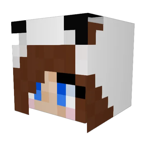 mfoulk13 Minecraft avatar head, 3D render