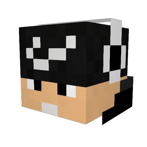 mfox05 Minecraft avatar head, 3D render