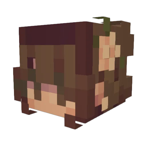 mfsplash Minecraft avatar head, 3D render