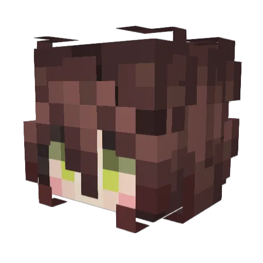 mfw79 Minecraft avatar head, 3D render