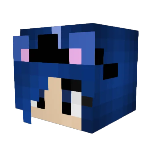 mgbrownd Minecraft avatar head, 3D render