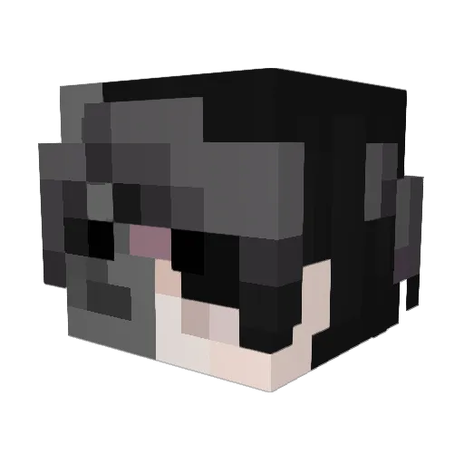 mgrooo Minecraft avatar head, 3D render