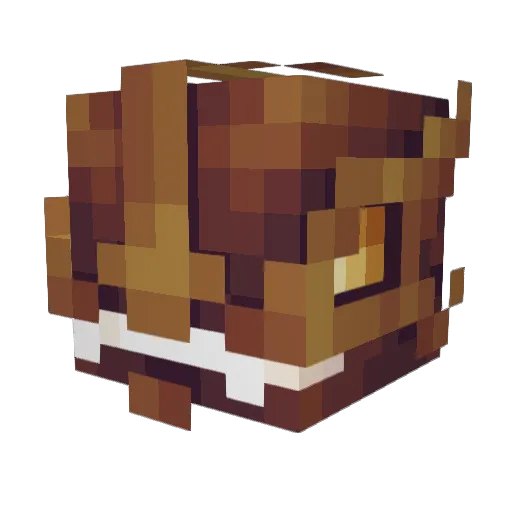 mheaivilin Minecraft avatar head, 3D render