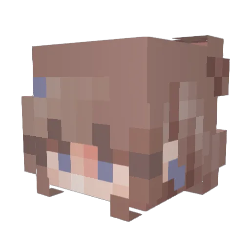 miSOCKi Minecraft avatar head, 3D render