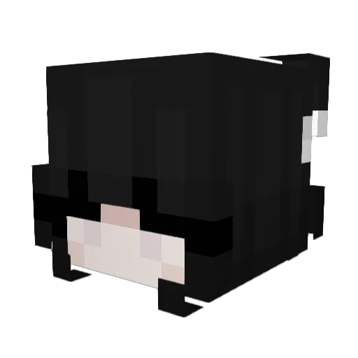 mia348 Minecraft avatar head, 3D render