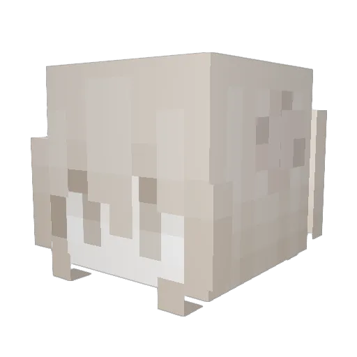 miaferguson2011 Minecraft avatar head, 3D render