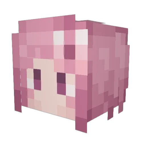Minecraft-Avatar von miaopan607: Kopf als 3D-Render