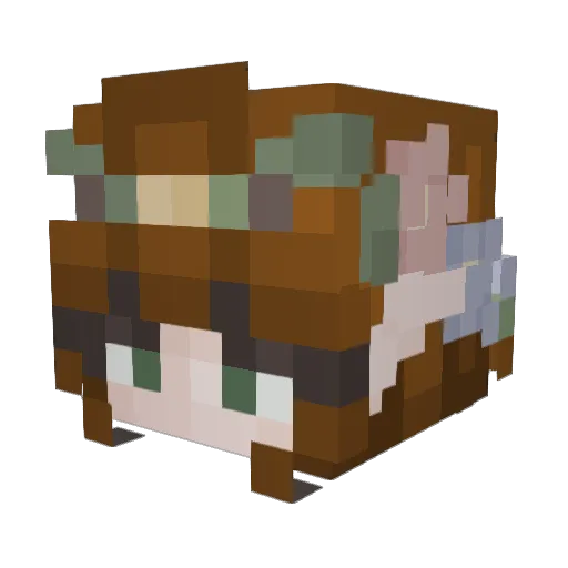 miaowr Minecraft avatar head, 3D render