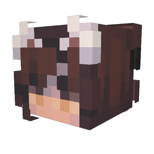 mic_sabin Minecraft avatar head, 3D render