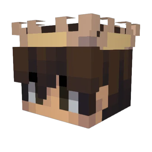 michael2o9ER Minecraft avatar head, 3D render