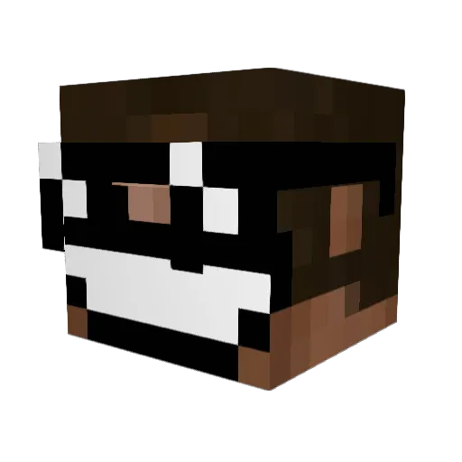 michaelg10 Minecraft avatar head, 3D render