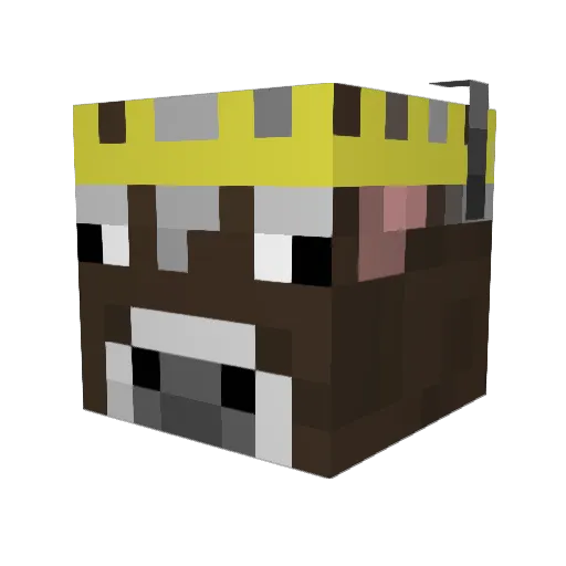 michaelhill16 Minecraft avatar head, 3D render