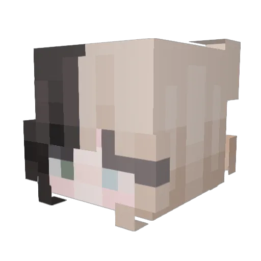 michaengrin Minecraft avatar head, 3D render