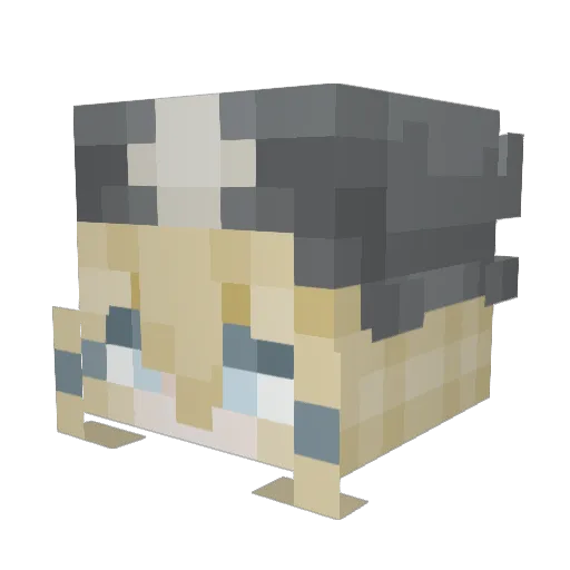 michalwar Minecraft avatar head, 3D render