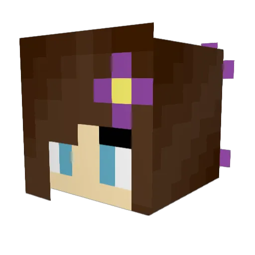 michee24 Minecraft avatar head, 3D render