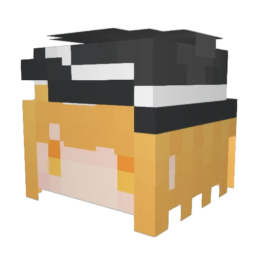 michi2004 Minecraft avatar head, 3D render