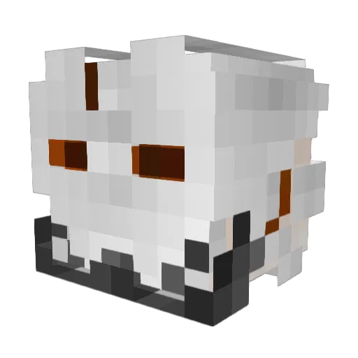 michi55 Minecraft avatar head, 3D render