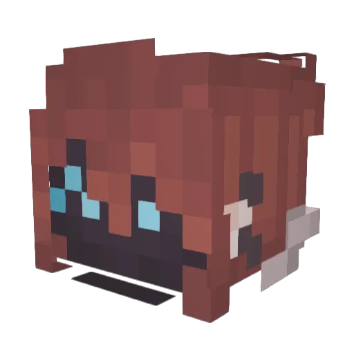 michiejaay Minecraft avatar head, 3D render