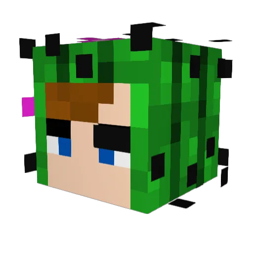 michiganho Minecraft avatar head, 3D render