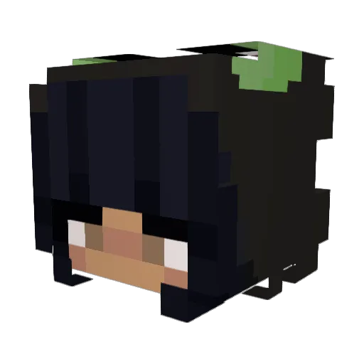 michipao_ Minecraft avatar head, 3D render