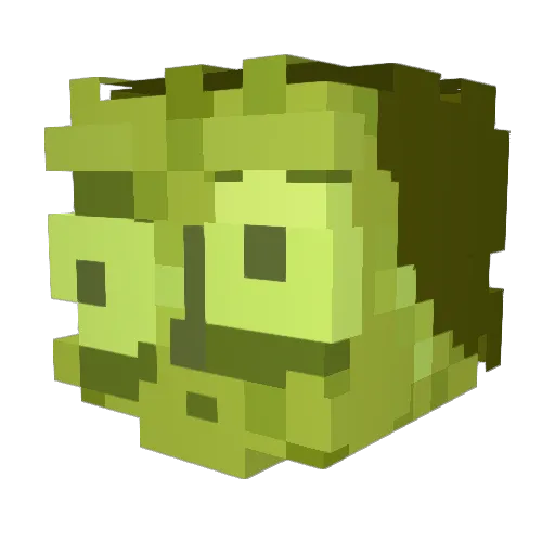 michpol12 Minecraft avatar head, 3D render