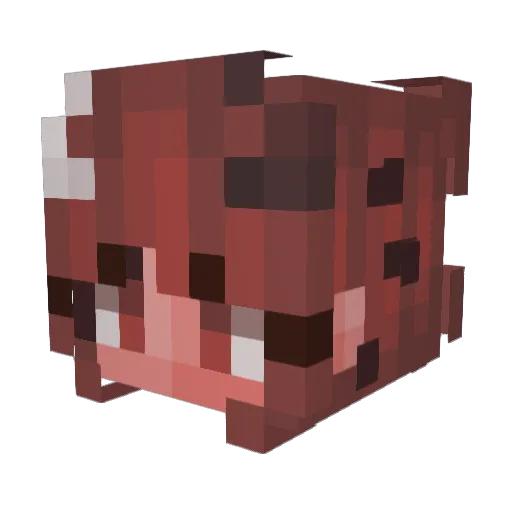michutjarks Minecraft avatar head, 3D render