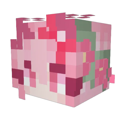 michutsuki Minecraft avatar head, 3D render