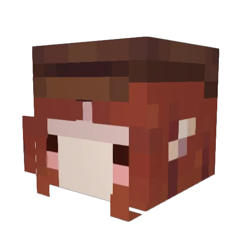 michuwizard Minecraft avatar head, 3D render