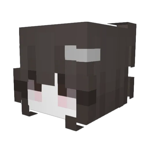 michwlle Minecraft avatar head, 3D render