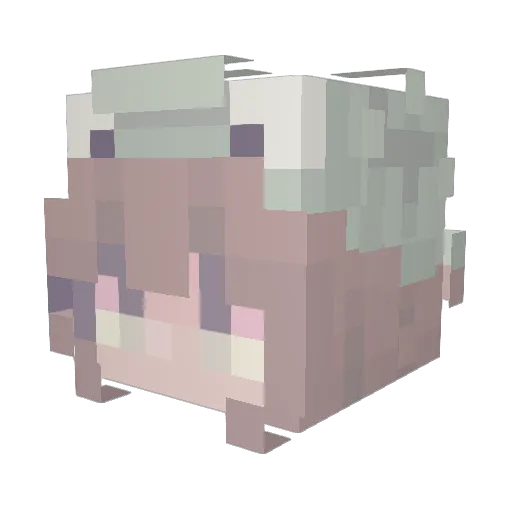 mickeymouseee Minecraft avatar head, 3D render
