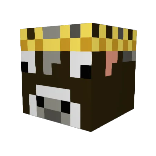 micky2171 Minecraft avatar head, 3D render