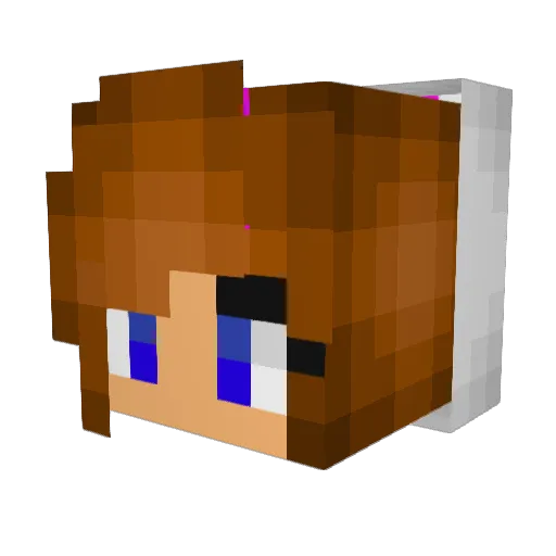 micmac20 Minecraft avatar head, 3D render