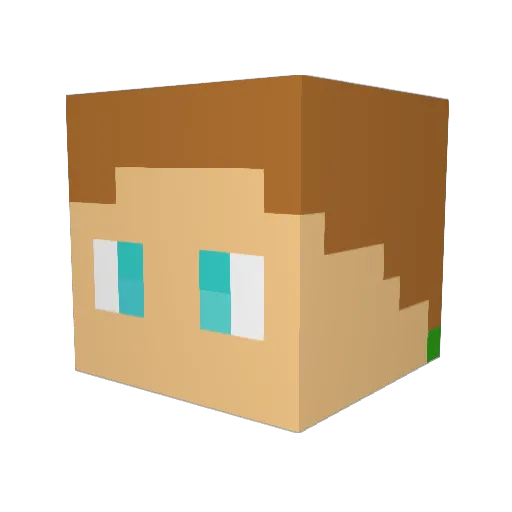 micplay13 Minecraft avatar head, 3D render